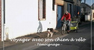 voyage vélo chien