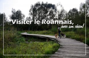 le roannais