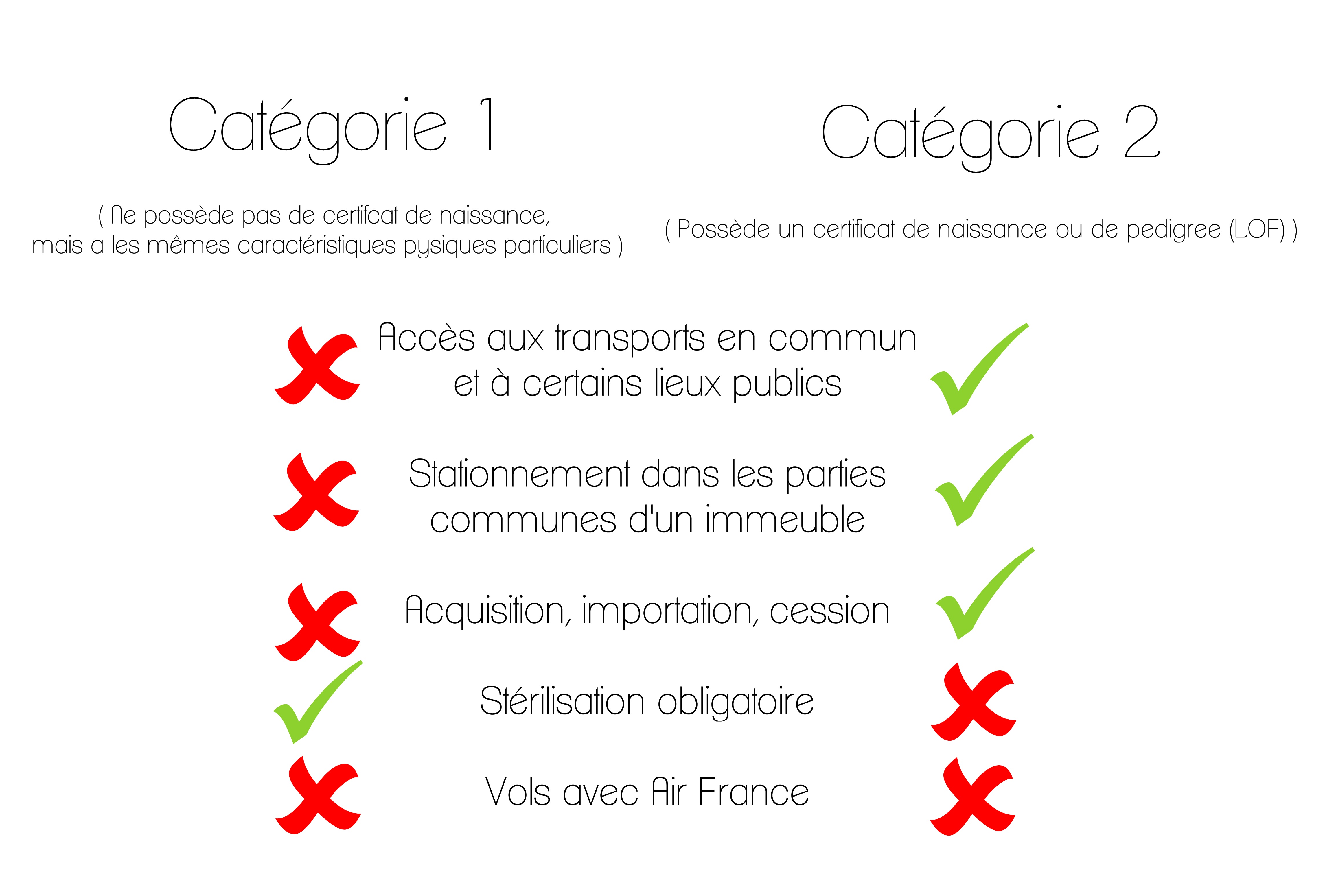 tableau catégories chien